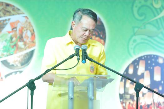 Thailand Festival 2013